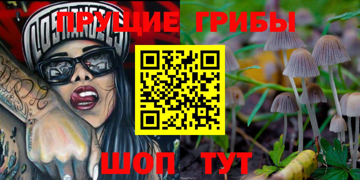 Красноармейск  Псилоцибиновые грибы прущие грибы  Вход с VPN  Галлюциногенные грибы MAGIC MUSHROOMS 