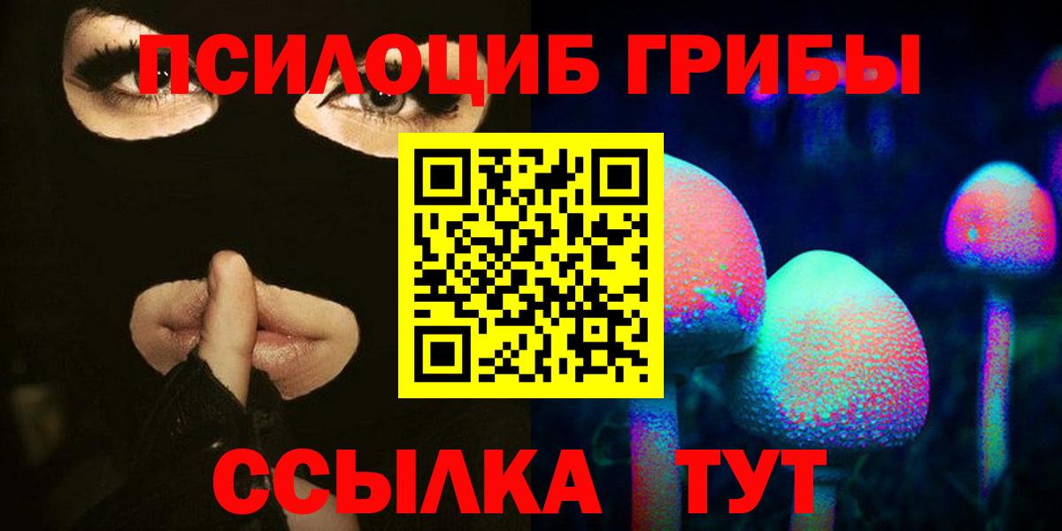 Псилоцибиновые грибы Psilocybe Красноармейск